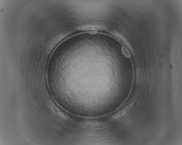 X0000067390529200604031035