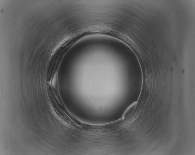 X0000067390530200604031035