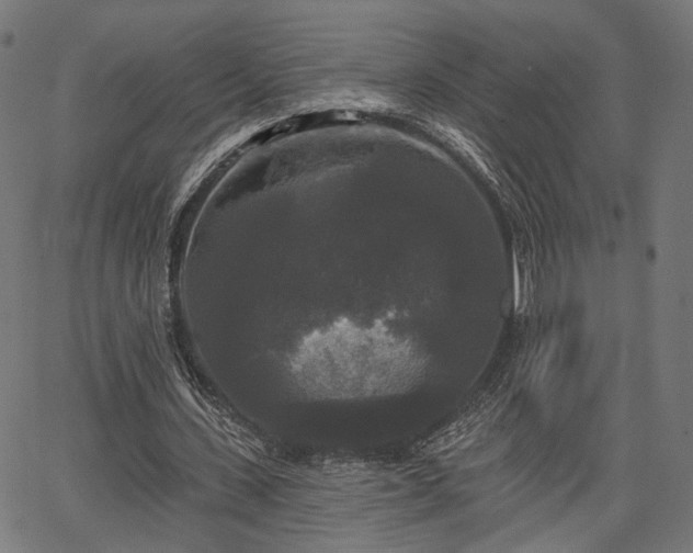 X0000067390531200604031035