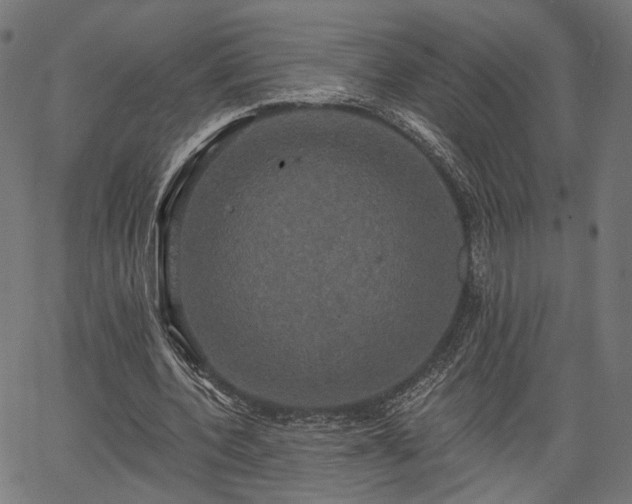 X0000067390532200604031035