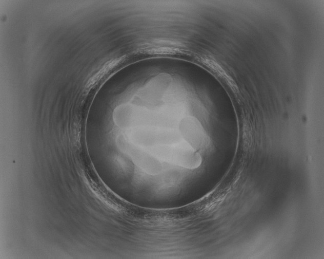 X0000067390533200604031035