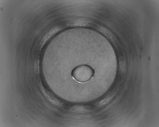 X0000067390534200604031035