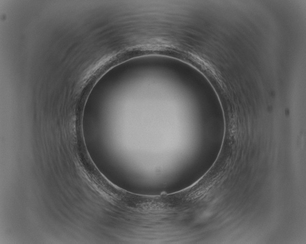 X0000067390535200604031035