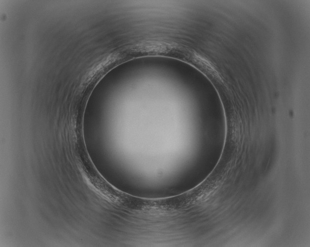 X0000067390538200604031035