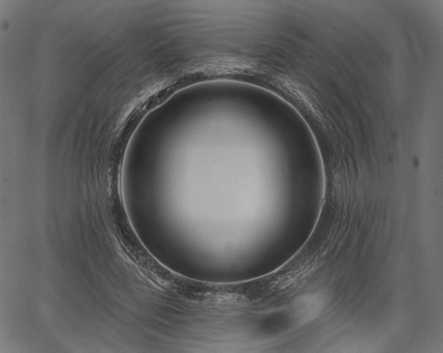 X0000067390539200604031035