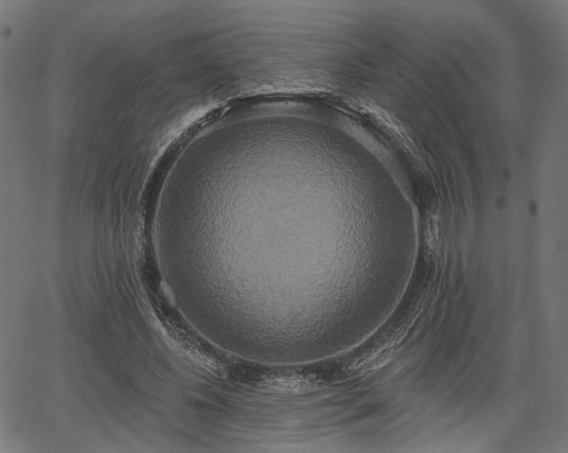 X0000067390540200604031035