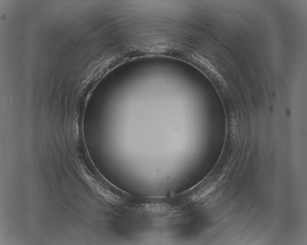 X0000067390541200604031035