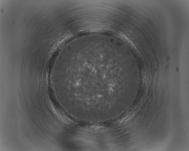 X0000067390542200604031035