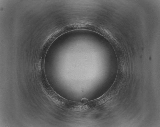 X0000067390543200604031035