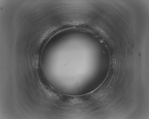 X0000067390544200604031035