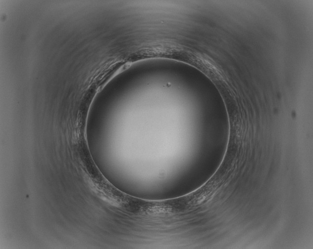 X0000067390546200604031035