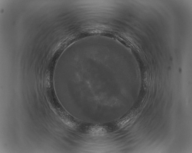 X0000067390547200604031035