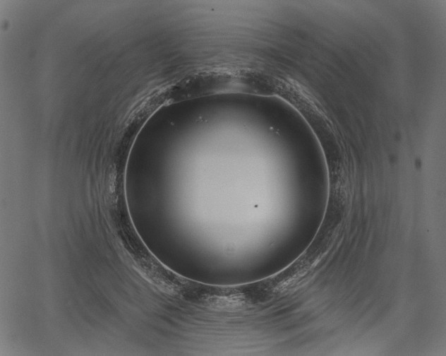 X0000067390548200604031035