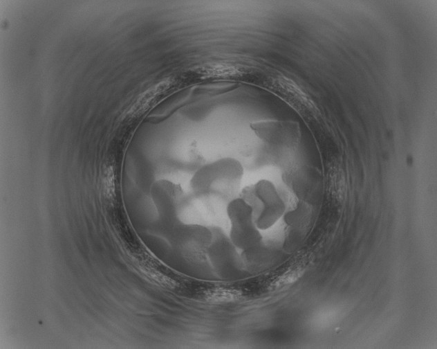 X0000067390549200604031035