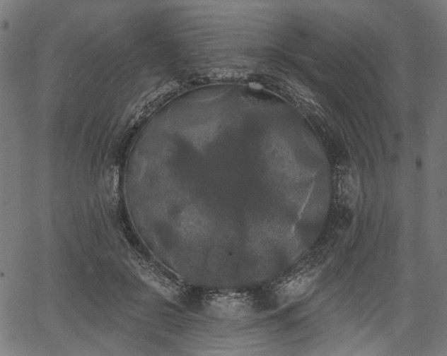 X0000067390550200604031035