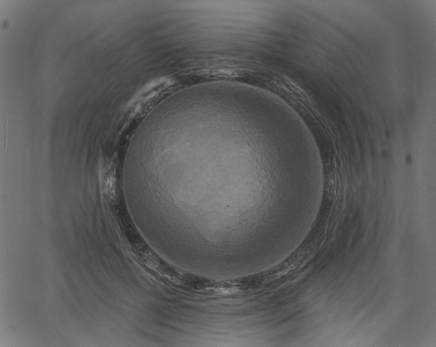 X0000067390552200604031035