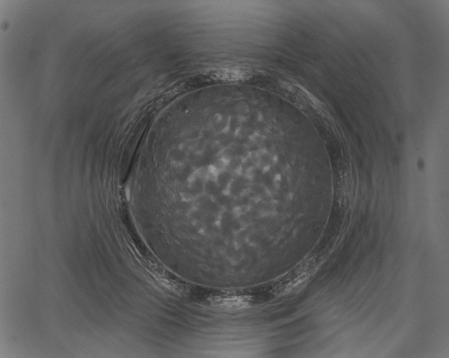 X0000067390553200604031035