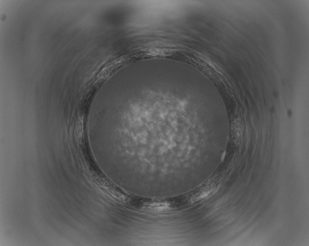 X0000067390554200604031035