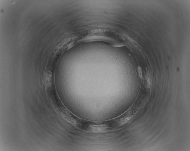 X0000067390556200604031035