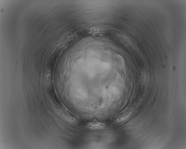 X0000067390557200604031035