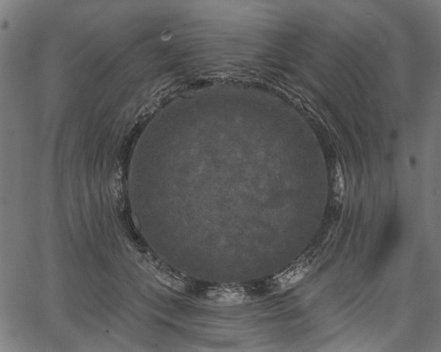 X0000067390559200604031035