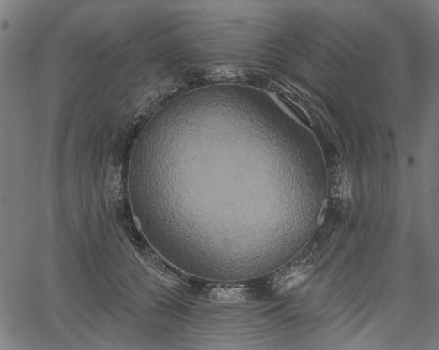 X0000067390560200604031035