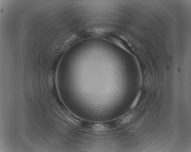 X0000067390562200604031035