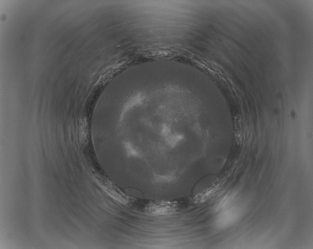 X0000067390563200604031035