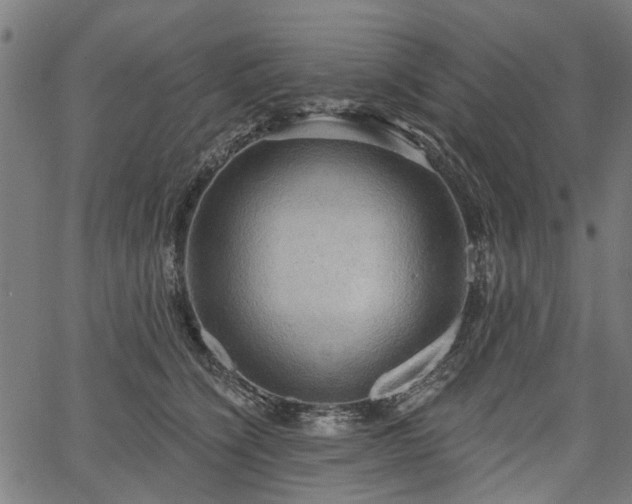 X0000067390564200604031035