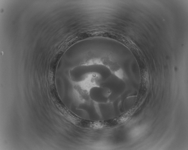 X0000067390565200604031035