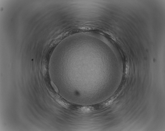 X0000067390566200604031035