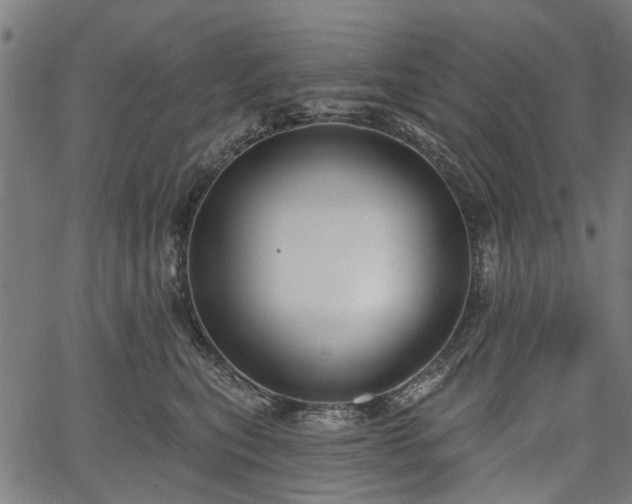 X0000067390567200604031035