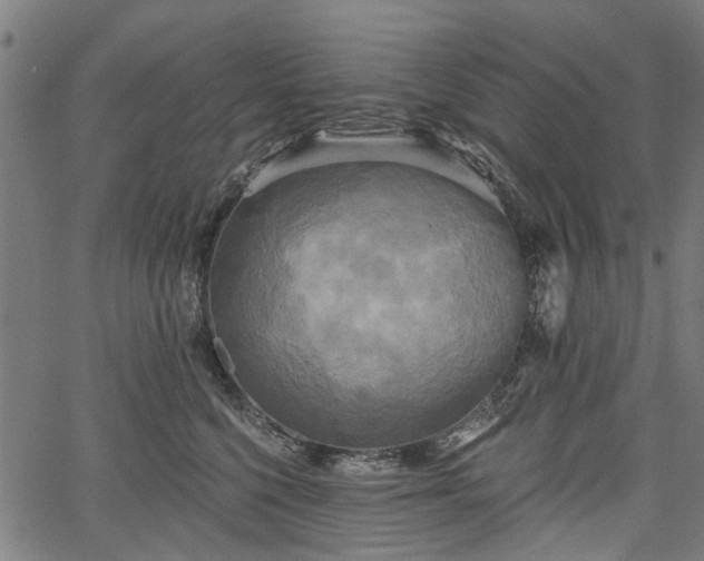 X0000067390568200604031035