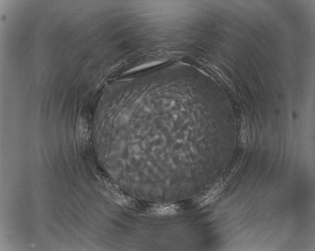 X0000067390569200604031035