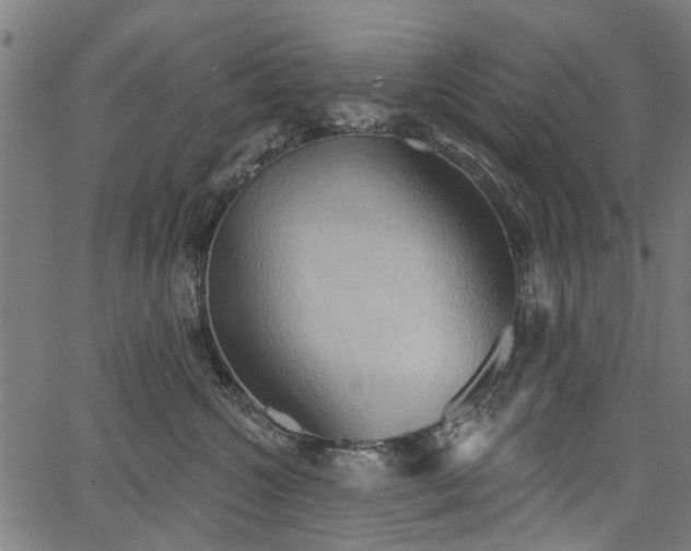 X0000067390572200604031036