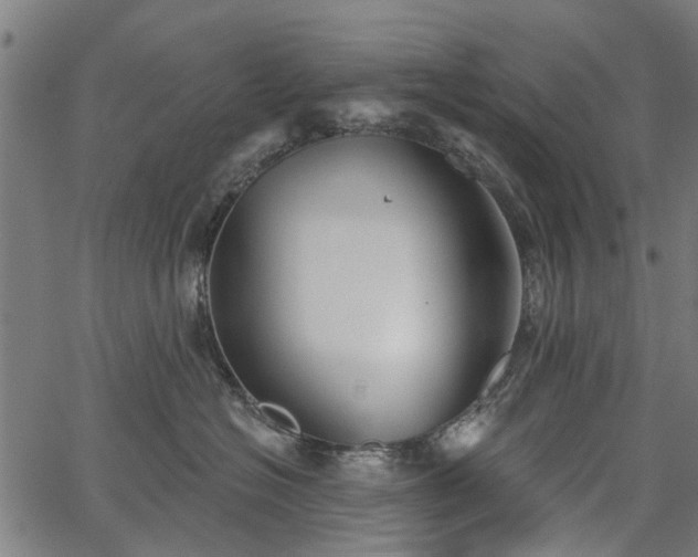 X0000067390574200604031036