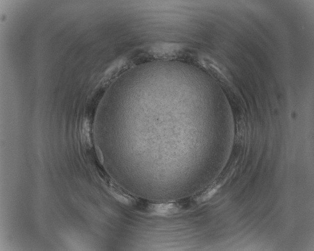 X0000067390575200604031036