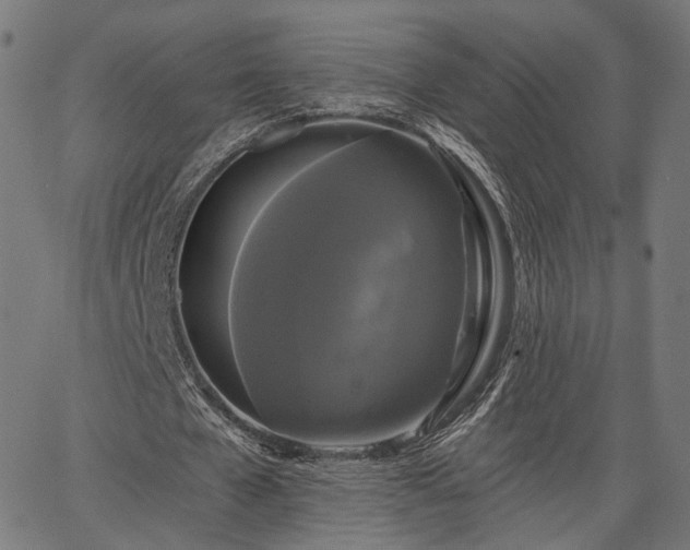 X0000067390577200604031035