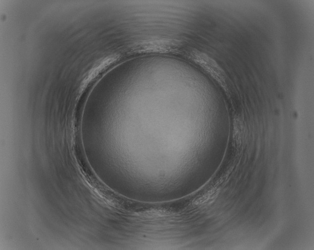 X0000067390578200604031035