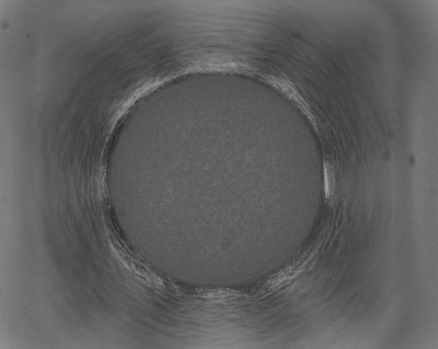 X0000067390579200604031035