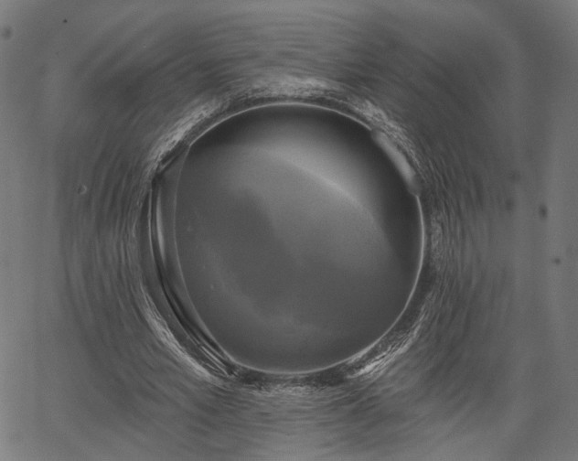 X0000067390581200604031035