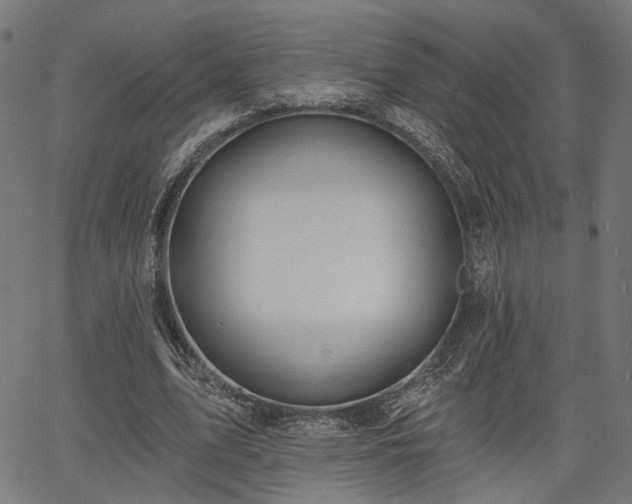 X0000067390583200604031035