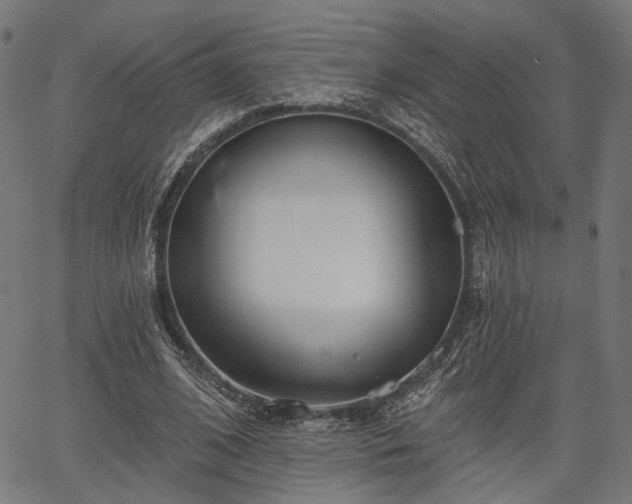 X0000067390584200604031035