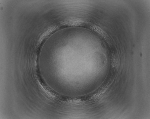 X0000067390586200604031035