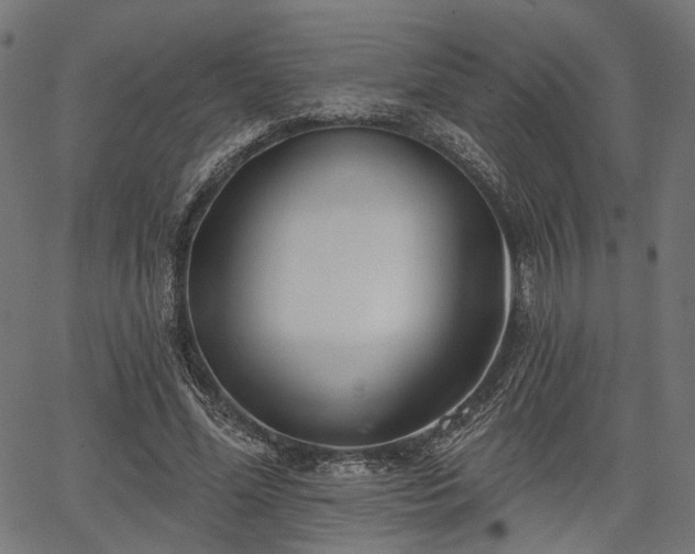 X0000067390588200604031035