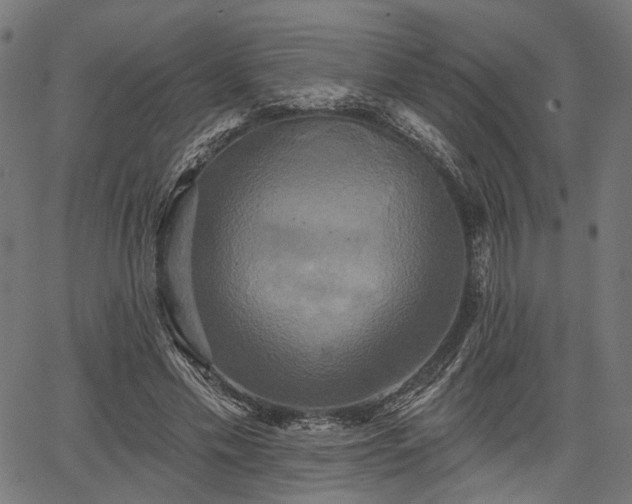 X0000067390589200604031035