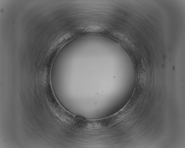 X0000067390591200604031035