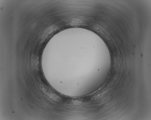 X0000067390592200604031035