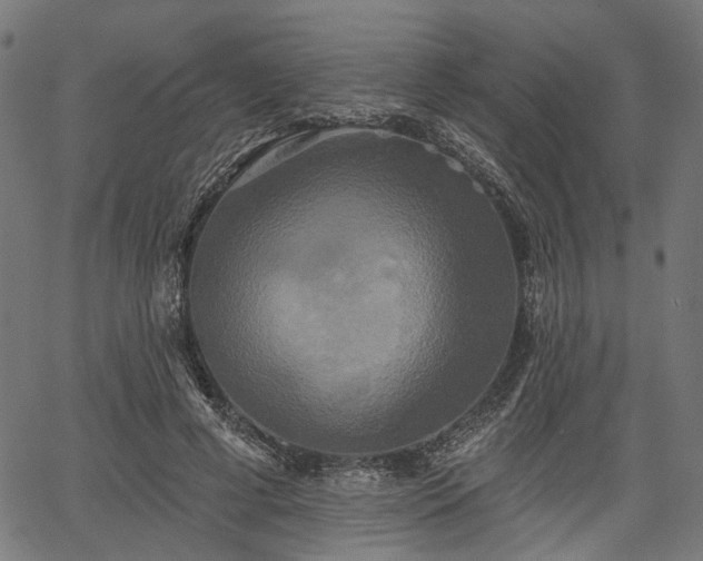 X0000067390593200604031035