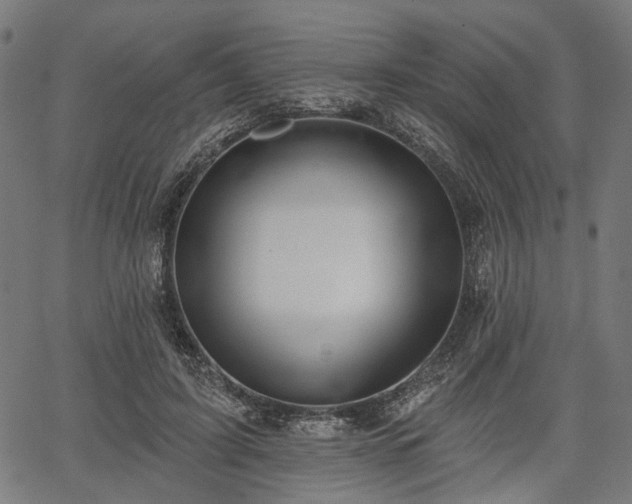 X0000067390595200604031035